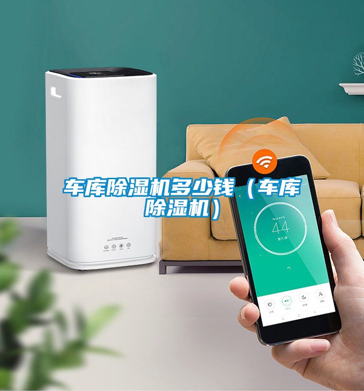 车库麻豆视频黄网站多少钱（车库麻豆视频黄网站）