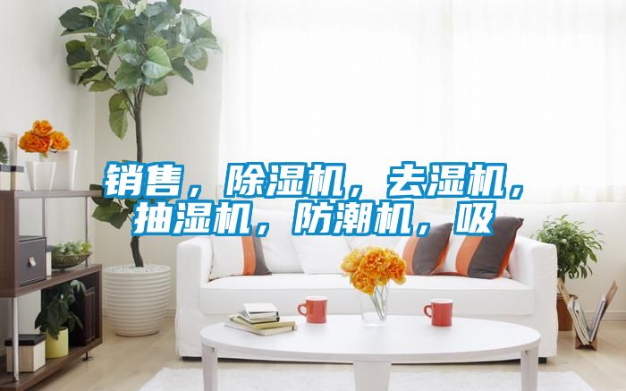 销售，麻豆视频黄网站，去湿机，抽湿机，防潮机，吸
