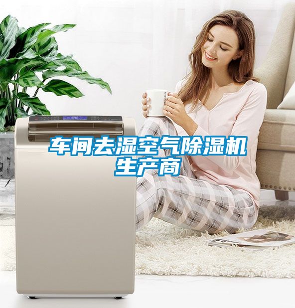 车间去湿空气麻豆视频黄网站生产商