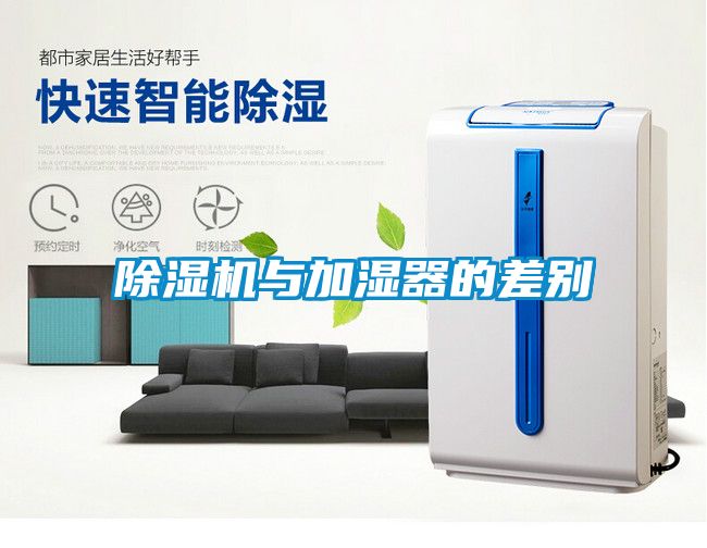 麻豆视频黄网站与加湿器的差别