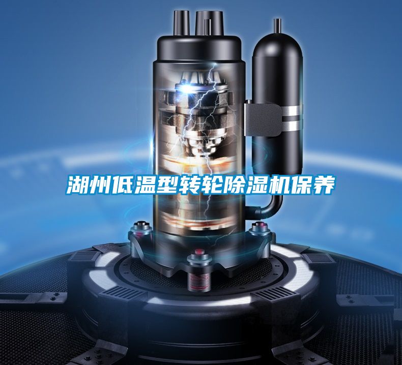 湖州低温型转轮麻豆视频黄网站保养