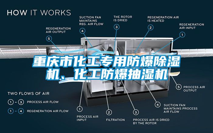 重庆市化工专用防爆麻豆视频黄网站、化工防爆抽湿机