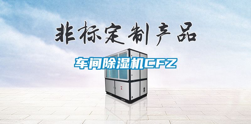 车间麻豆视频黄网站CFZ