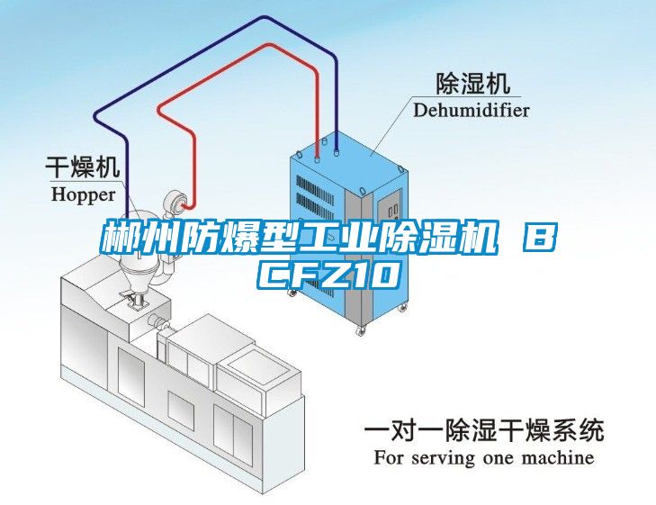 郴州防爆型工业麻豆视频黄网站 BCFZ10