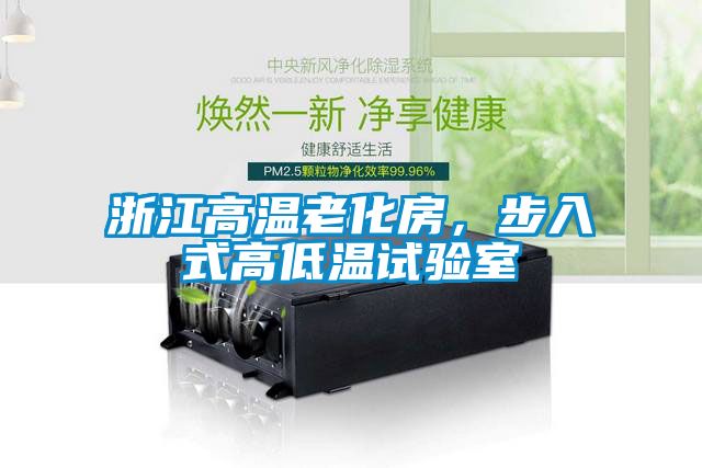 浙江高温老化房，步入式高低温试验室