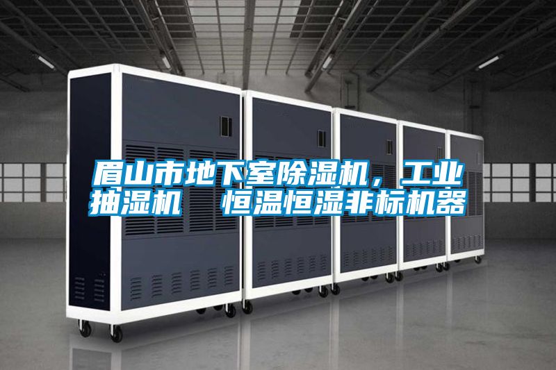 眉山市地下室麻豆视频黄网站，工业抽湿机  恒温恒湿非标机器