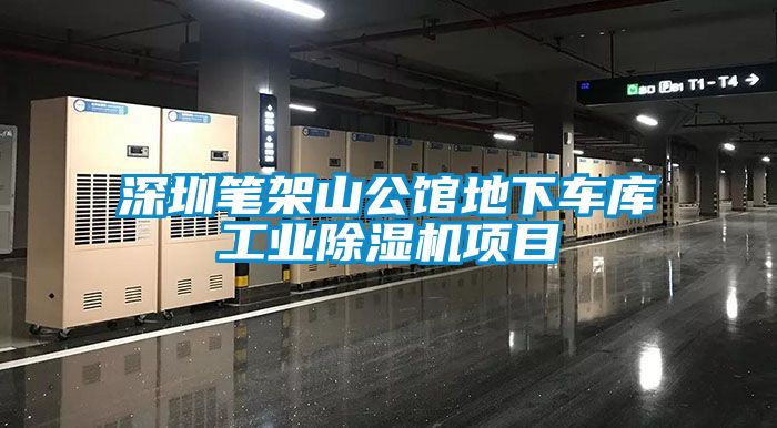 深圳笔架山公馆地下车库工业麻豆视频黄网站项目