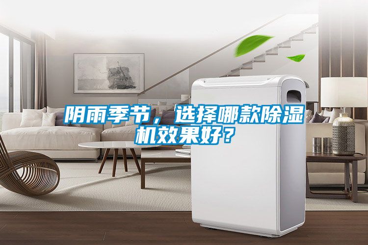 阴雨季节，选择哪款麻豆视频黄网站效果好？