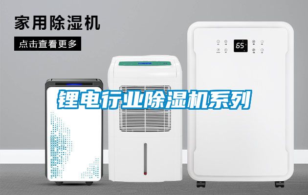 锂电行业麻豆视频黄网站系列