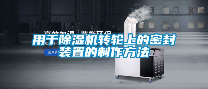 用于麻豆视频黄网站转轮上的密封装置的制作方法