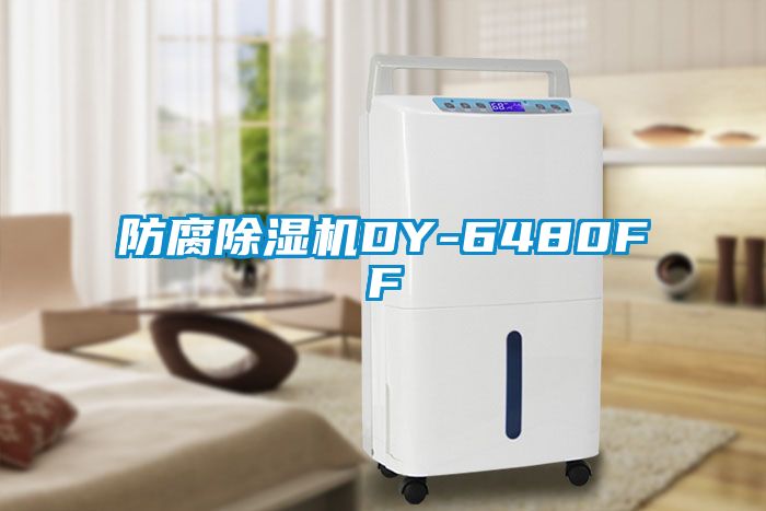 防腐麻豆视频黄网站DY-6480FF