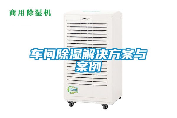 车间除湿国产麻豆剧果冻传媒星空视频与案例