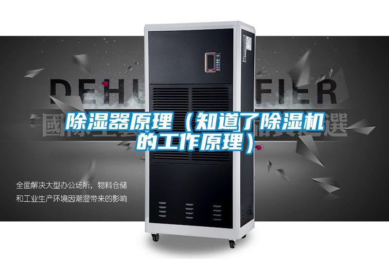 除湿器原理（知道了麻豆视频黄网站的工作原理）
