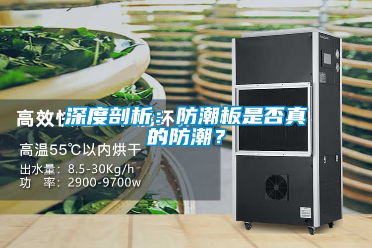 深度剖析：防潮板是否真的防潮？