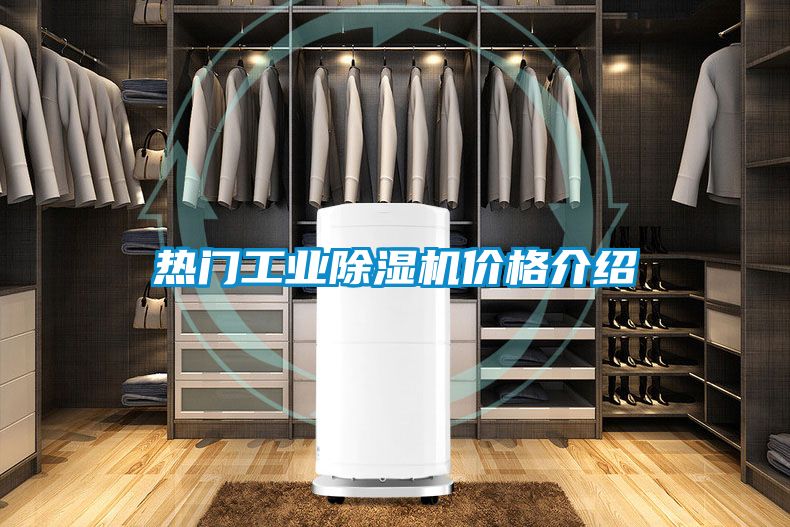 热门工业麻豆视频黄网站价格介绍