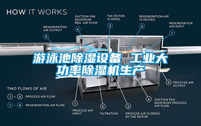 游泳池除湿设备 工业大功率麻豆视频黄网站生产