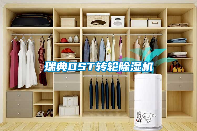 瑞典DST转轮麻豆视频黄网站