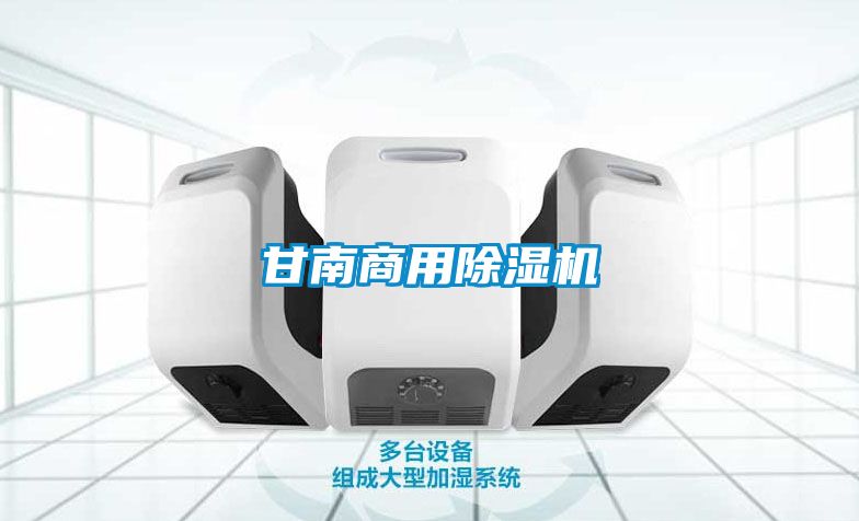 甘南商用麻豆视频黄网站