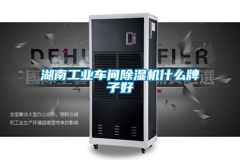 湖南工业车间麻豆视频黄网站什么牌子好