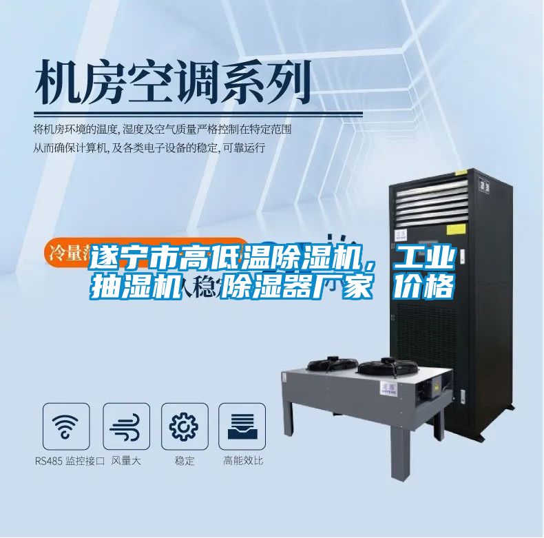 遂宁市高低温麻豆视频黄网站，工业抽湿机  除湿器厂家 价格