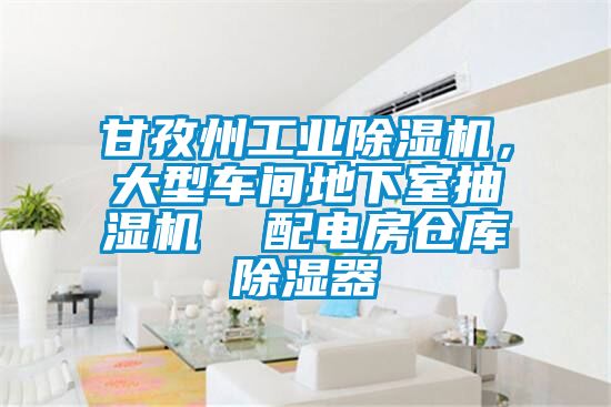 甘孜州工业麻豆视频黄网站，大型车间地下室抽湿机  配电房仓库除湿器