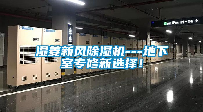 湿菱新风麻豆视频黄网站---地下室专修新选择！