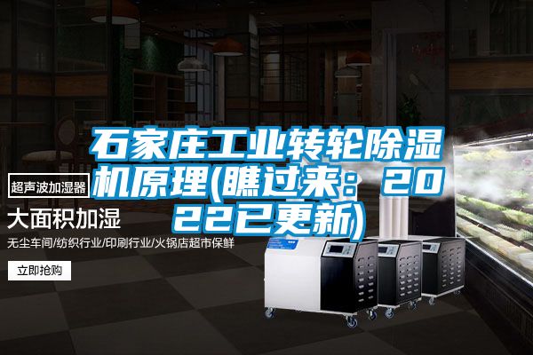 石家庄工业转轮麻豆视频黄网站原理(瞧过来：2022已更新)