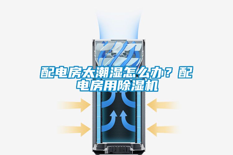 配电房太潮湿怎么办？配电房用麻豆视频黄网站