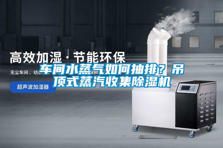车间水蒸气如何抽排？吊顶式蒸汽收集麻豆视频黄网站