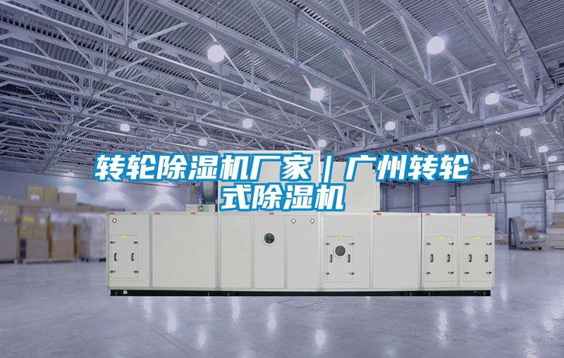 转轮麻豆视频黄网站厂家｜广州转轮式麻豆视频黄网站