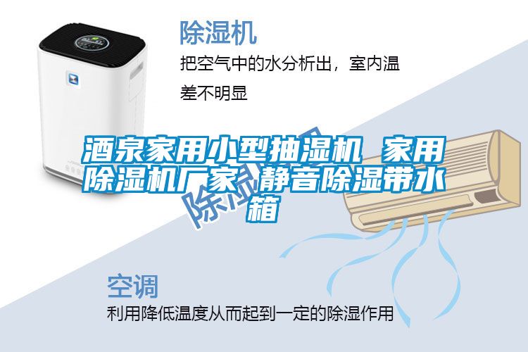 酒泉家用小型抽湿机 家用麻豆视频黄网站厂家 静音除湿带水箱