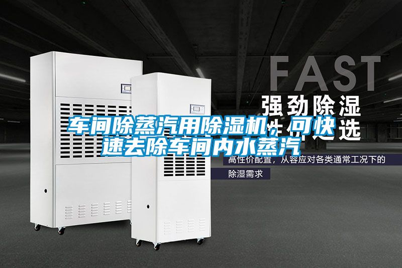 车间除蒸汽用麻豆视频黄网站，可快速去除车间内水蒸汽