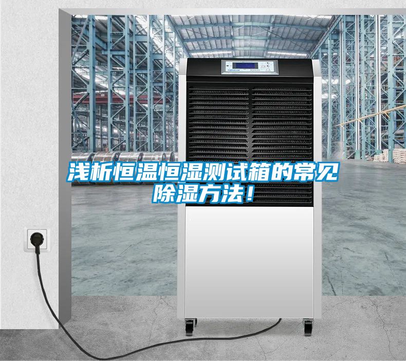 浅析恒温恒湿测试箱的常见除湿方法！