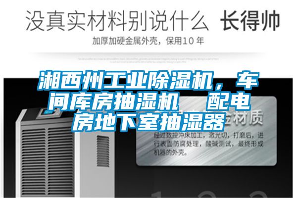 湘西州工业麻豆视频黄网站，车间库房抽湿机  配电房地下室抽湿器