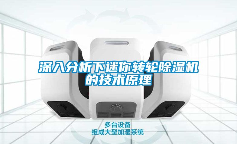 深入分析下迷你转轮麻豆视频黄网站的技术原理