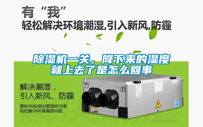 麻豆视频黄网站一关，降下来的湿度就上去了是怎么回事