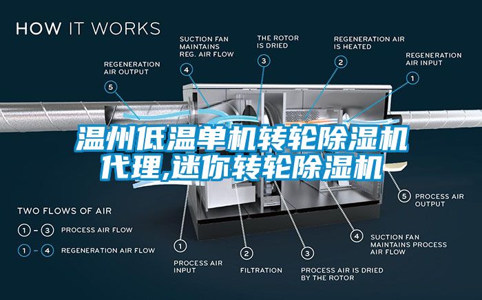 温州低温单机转轮麻豆视频黄网站代理,迷你转轮麻豆视频黄网站