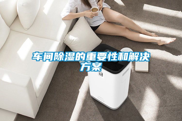车间除湿的重要性和国产麻豆剧果冻传媒星空视频