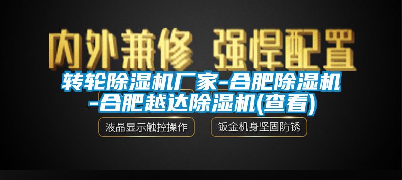 转轮麻豆视频黄网站厂家-合肥麻豆视频黄网站-合肥越达麻豆视频黄网站(查看)