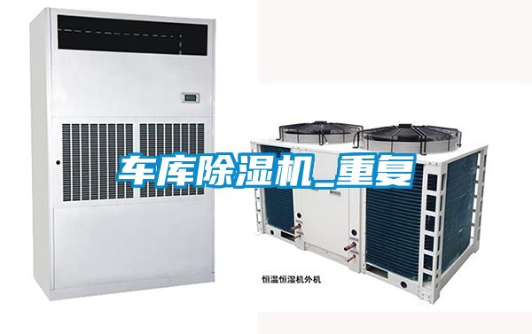 车库麻豆视频黄网站_重复