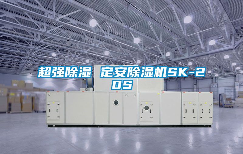 超强除湿 定安麻豆视频黄网站SK-20S