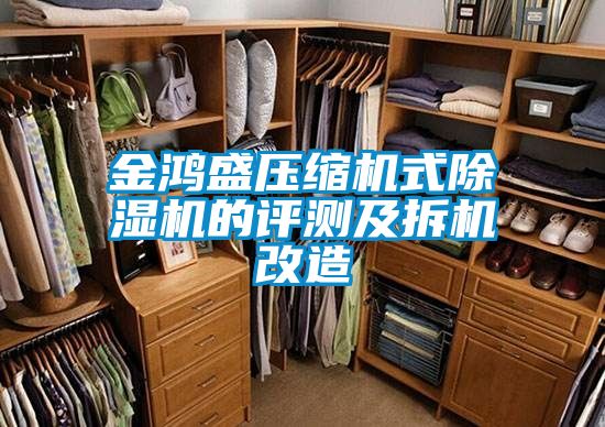 金鸿盛压缩机式麻豆视频黄网站的评测及拆机改造