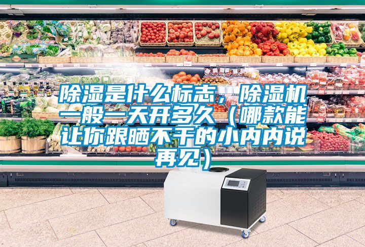 除湿是什么标志，麻豆视频黄网站一般一天开多久（哪款能让你跟晒不干的小内内说再见）