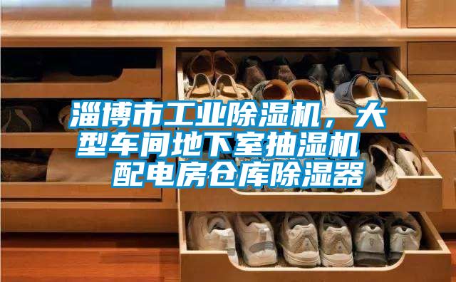 淄博市工业麻豆视频黄网站，大型车间地下室抽湿机  配电房仓库除湿器
