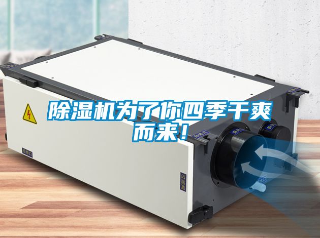 麻豆视频黄网站为了你四季干爽而来！