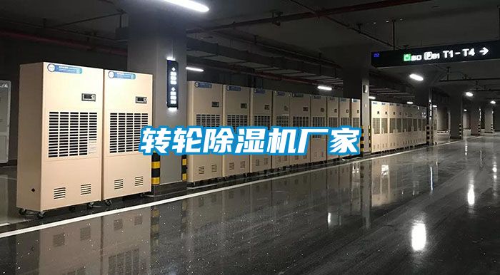 转轮麻豆视频黄网站厂家