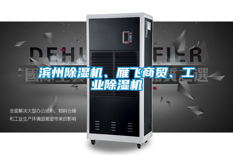 滨州麻豆视频黄网站、雁飞商贸、工业麻豆视频黄网站