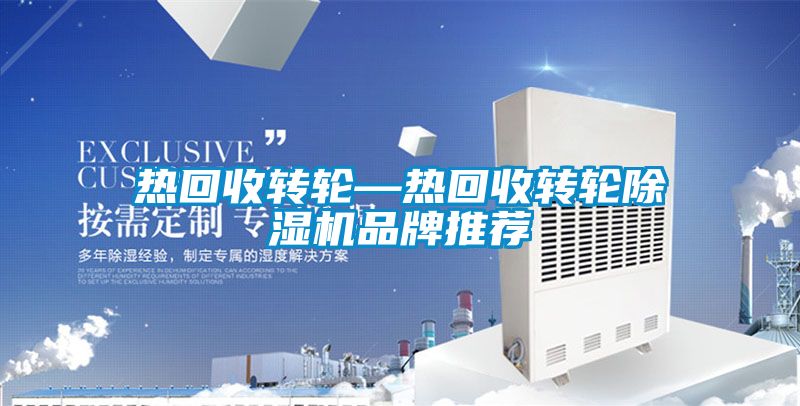 热回收转轮—热回收转轮麻豆视频黄网站品牌推荐