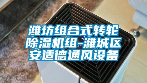 潍坊组合式转轮麻豆视频黄网站组-潍城区安适德通风设备