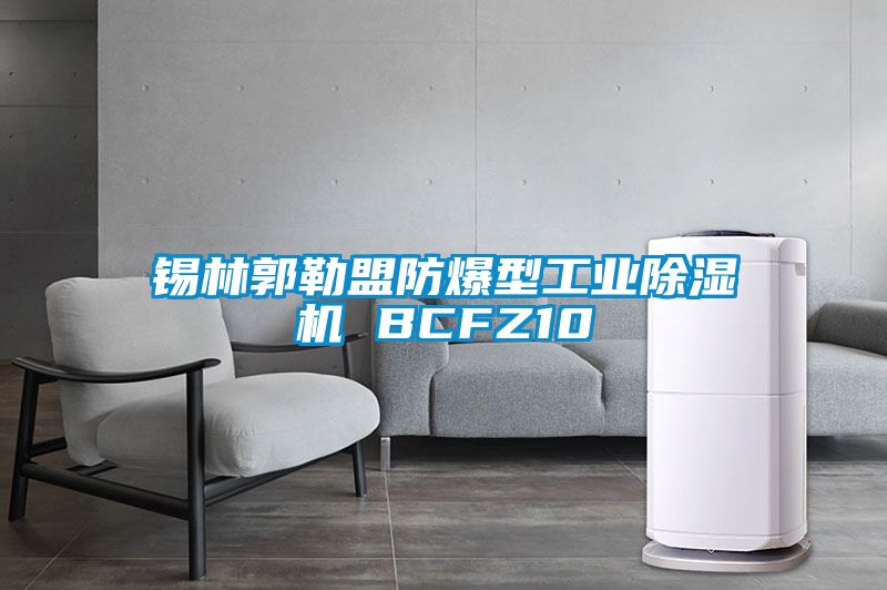 锡林郭勒盟防爆型工业麻豆视频黄网站 BCFZ10